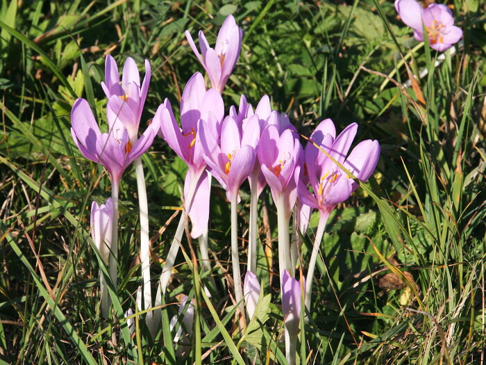 KST Bardejov PR Pod Beskydom