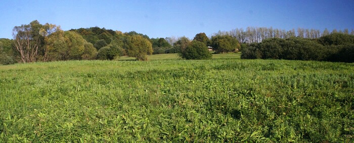 KST Bardejov PR Pod Beskydom